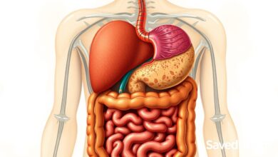 digestive system